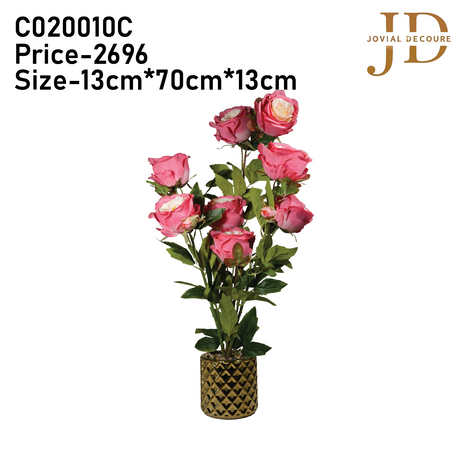Bunch of Roses (Pink) Plant