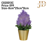 Sugarbushes Violet Bonsai