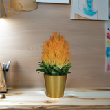 Sugarbushes Orange Bonsai