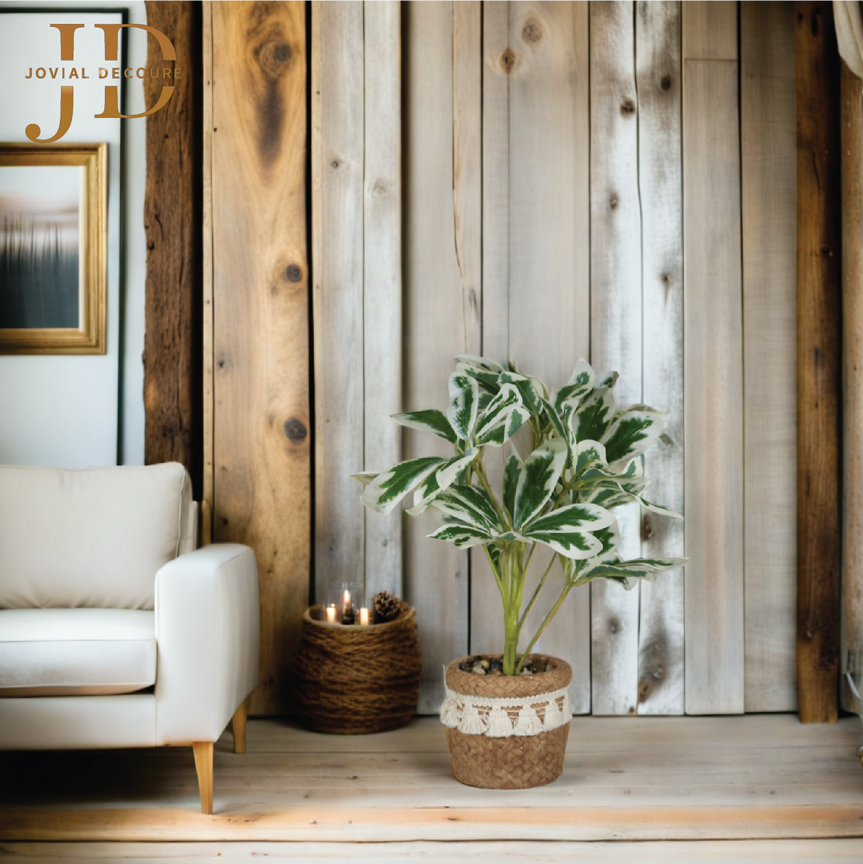 Schefflera Octophylla Leaves Bonsai (WhiteGreen)