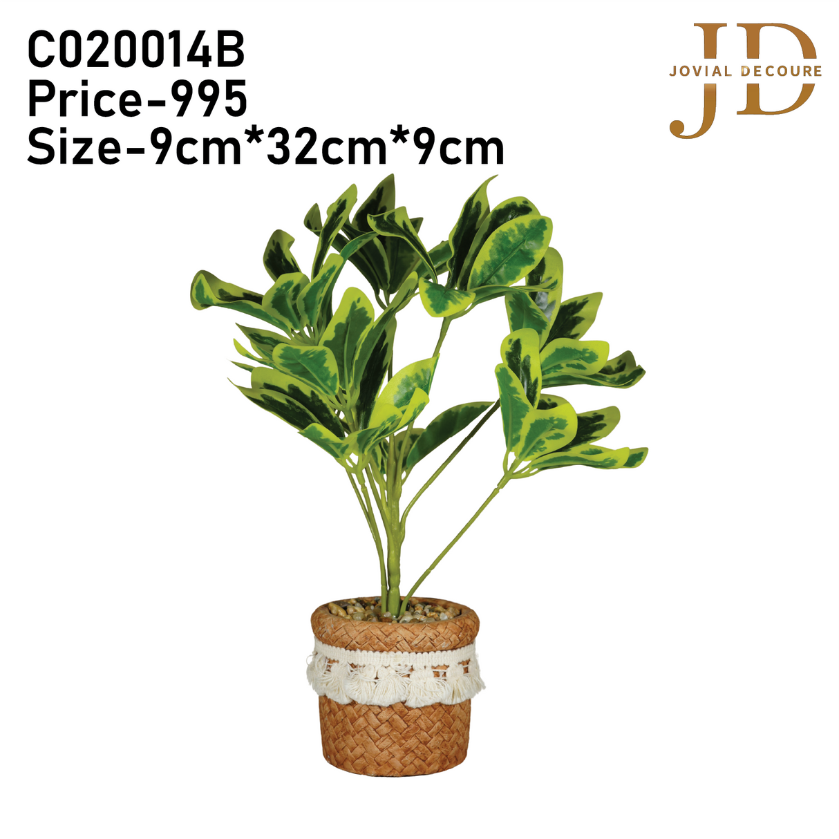 Schefflera Octophylla Leaves Bonsai (YellowGreen)