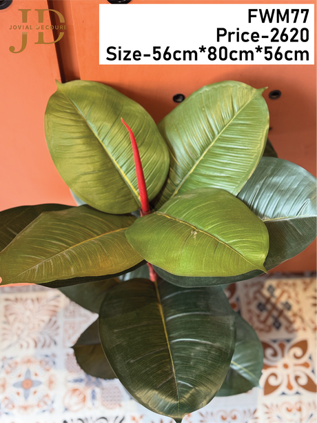 Artificial Rubber Fig Floor Plant with Pot
