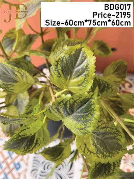 Artificial English Ivy Short Plant with Pot