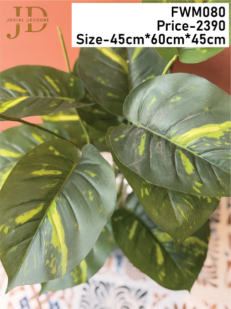 Silk Plant with Big Leaves with Pot