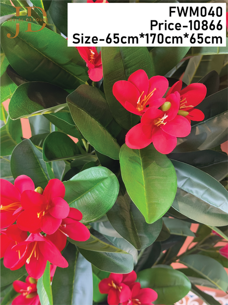 Frangipani Tree with Real Touch Leaves with Pot
