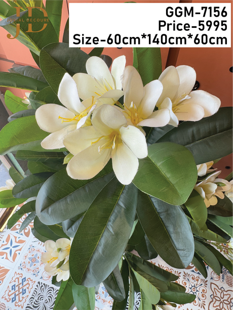 Artificial White Frangipani Plant with Pot
