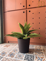 Artificial Agave Plant with Pot 02