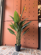 Artificial Birds of Paradise Flower Plants Large with Pot