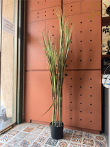 Artificial Large Sugarcane Plant with Pot