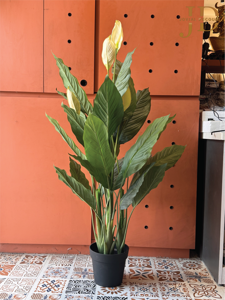 Artificial Real Touch Spathe with Pot